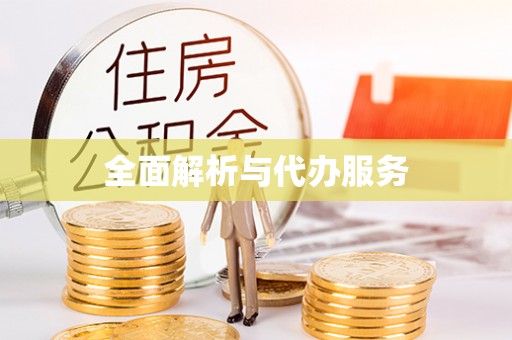 宁南全面解析与代办服务