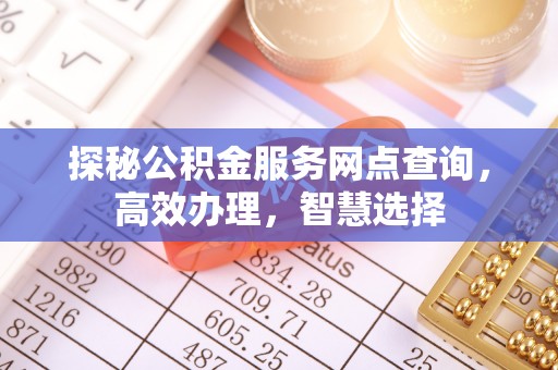 宁南探秘公积金服务网点查询，高效办理，智慧选择