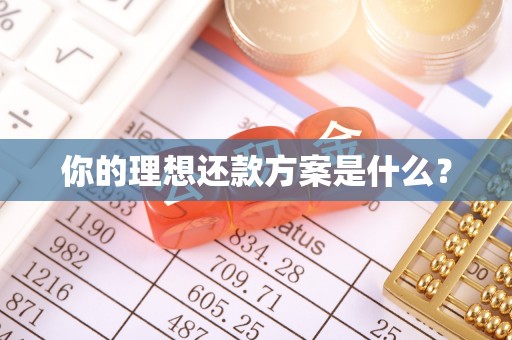 宁南你的理想还款方案是什么？