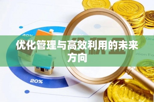 宁南优化管理与高效利用的未来方向