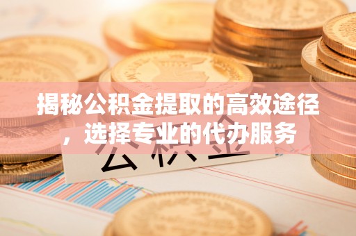 宁南揭秘公积金提取的高效途径，选择专业的代办服务