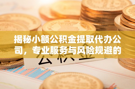 宁南揭秘小额公积金提取代办公司，专业服务与风险规避的平衡艺术