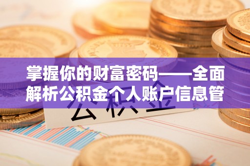 宁南掌握你的财富密码——全面解析公积金个人账户信息管理与优化