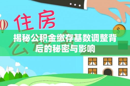 宁南揭秘公积金缴存基数调整背后的秘密与影响