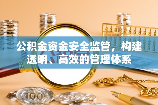 宁南公积金资金安全监管，构建透明、高效的管理体系