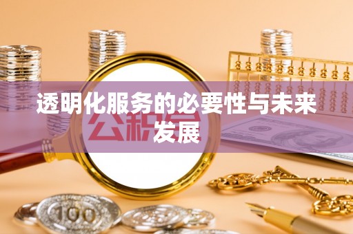 宁南透明化服务的必要性与未来发展