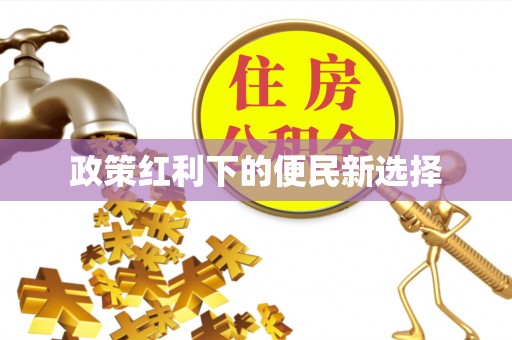 宁南政策红利下的便民新选择