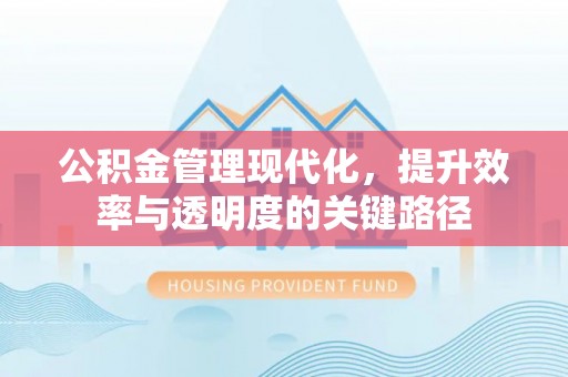 宁南公积金管理现代化，提升效率与透明度的关键路径
