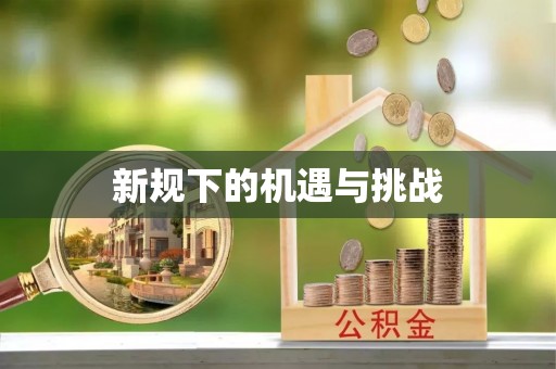 宁南新规下的机遇与挑战