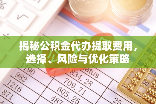 宁南揭秘公积金代办提取费用，选择、风险与优化策略