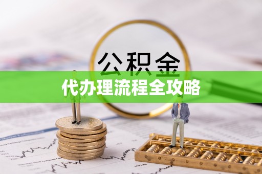 宁南代办理流程全攻略