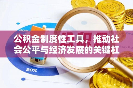 宁南公积金制度性工具，推动社会公平与经济发展的关键杠杆