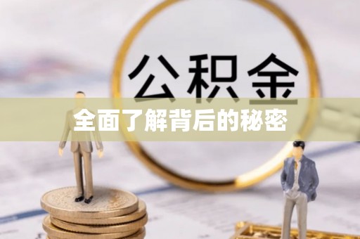 宁南全面了解背后的秘密