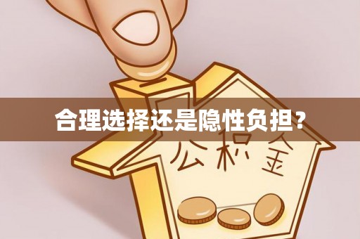 宁南合理选择还是隐性负担？