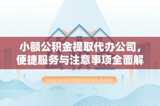 宁南小额公积金提取代办公司，便捷服务与注意事项全面解析
