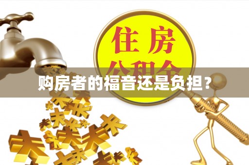 宁南购房者的福音还是负担？