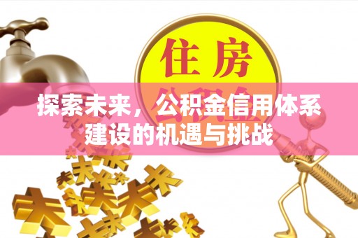 宁南探索未来，公积金信用体系建设的机遇与挑战