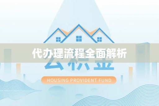 宁南代办理流程全面解析
