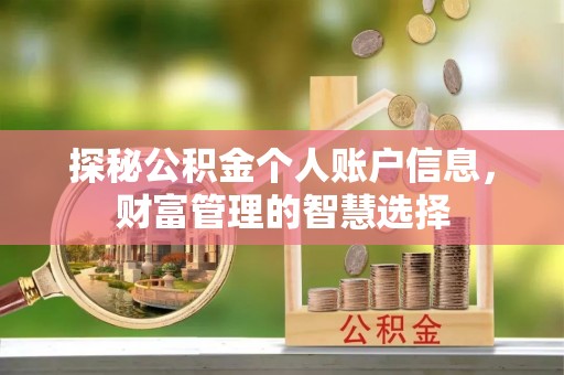 宁南探秘公积金个人账户信息，财富管理的智慧选择