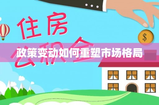 宁南政策变动如何重塑市场格局