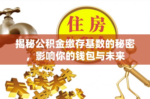 宁南揭秘公积金缴存基数的秘密，影响你的钱包与未来
