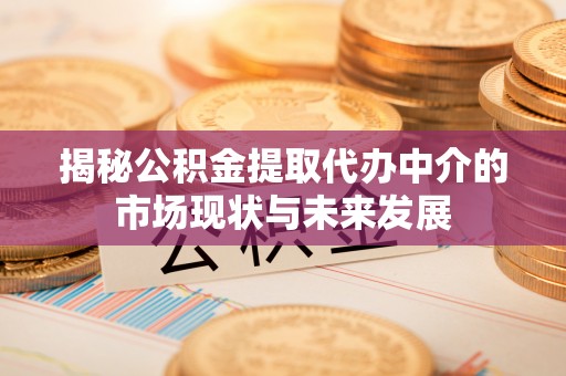宁南揭秘公积金提取代办中介的市场现状与未来发展