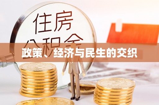 宁南政策、经济与民生的交织