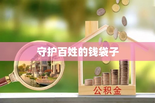 宁南守护百姓的钱袋子