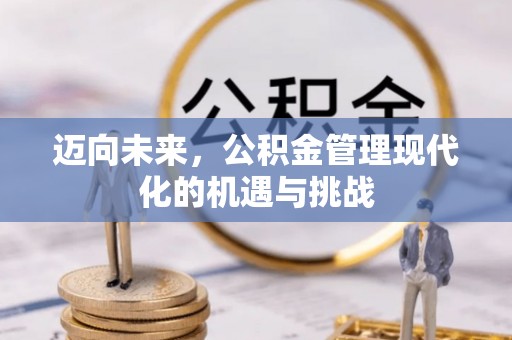 宁南迈向未来，公积金管理现代化的机遇与挑战