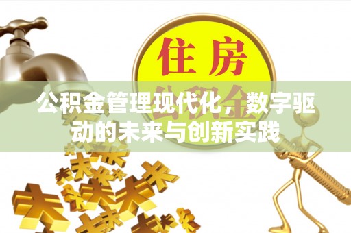 宁南公积金管理现代化，数字驱动的未来与创新实践
