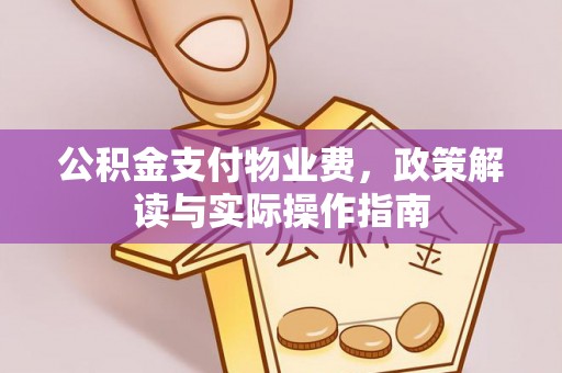 宁南公积金支付物业费，政策解读与实际操作指南