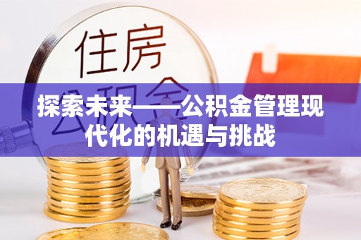 宁南探索未来——公积金管理现代化的机遇与挑战