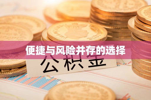 宁南便捷与风险并存的选择