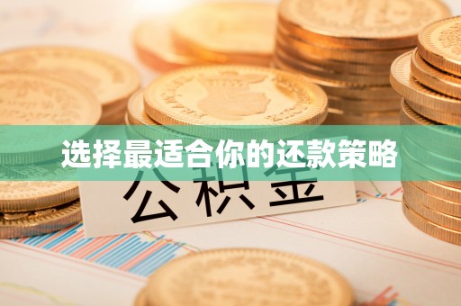 宁南选择最适合你的还款策略