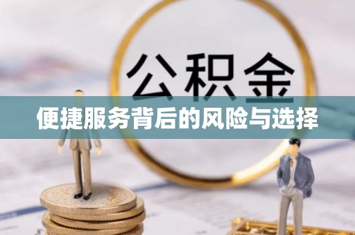 宁南便捷服务背后的风险与选择