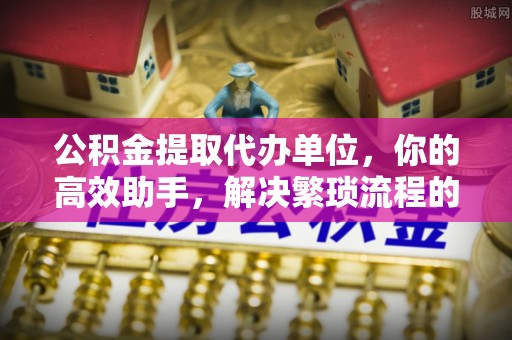 宁南公积金提取代办单位，你的高效助手，解决繁琐流程的不二之选