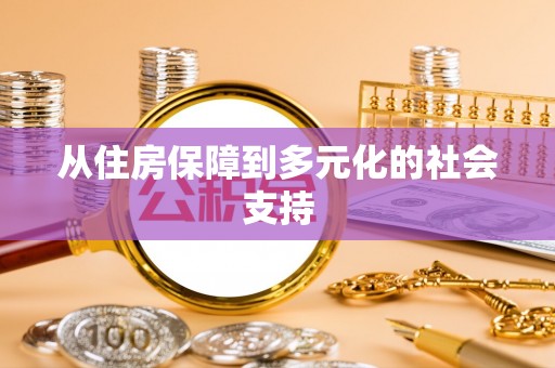 宁南从住房保障到多元化的社会支持