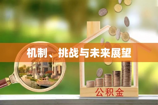 宁南机制、挑战与未来展望