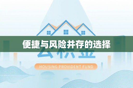 宁南便捷与风险并存的选择